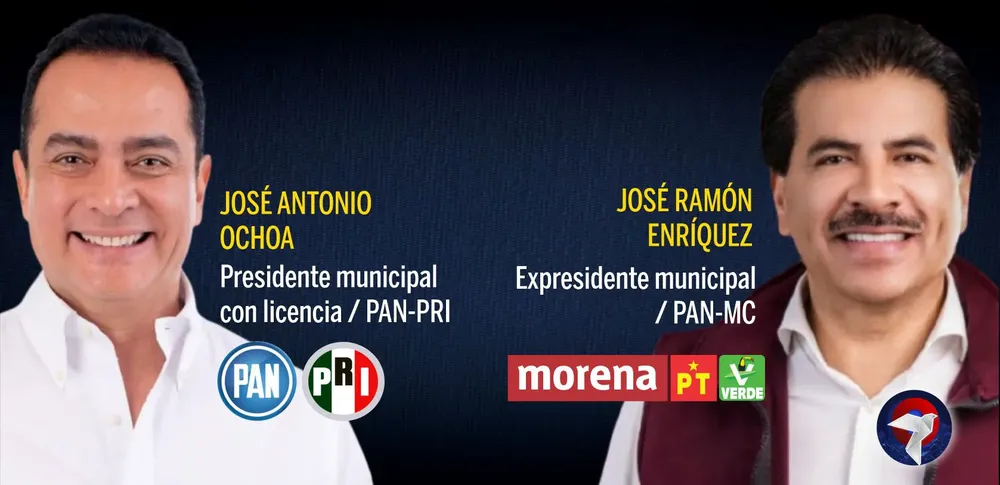 pintan web