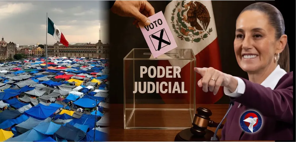 CNTE WEB