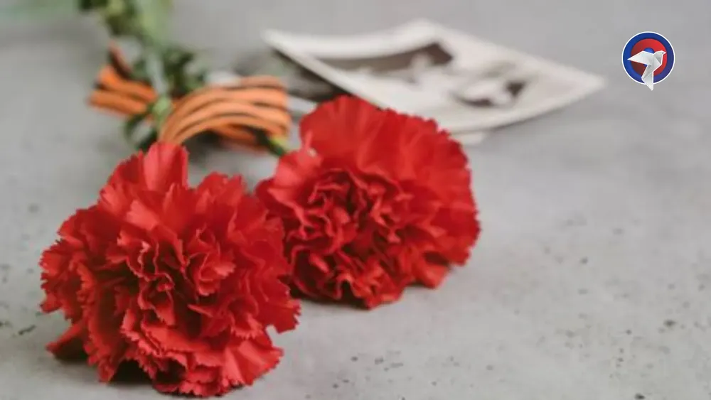 web clavel